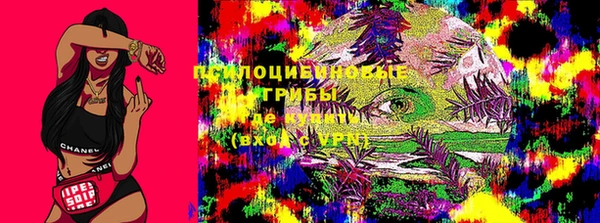 ECSTASY Лихославль